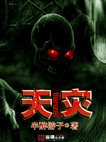 Heavenly Calamity Novel